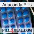 Anaconda Pills viagra2